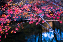 17岁app下载页面展示